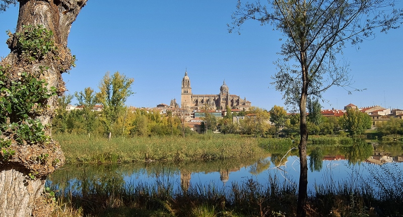 Salamanca mit den 2 Kathedralen, von unserem Stellplatz aus gesehen